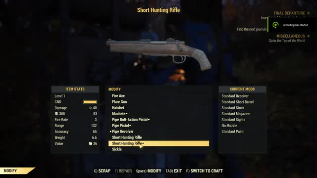Fallout 4 lower weapon mod